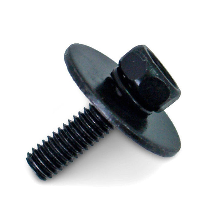 Lug Screw - M4 x 14mm Black Screw with Washer